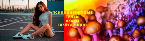 гашиш Ельня