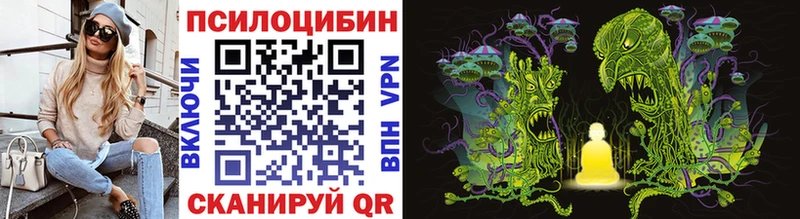 кракен сайт  Архангельск  Псилоцибиновые грибы Cubensis 